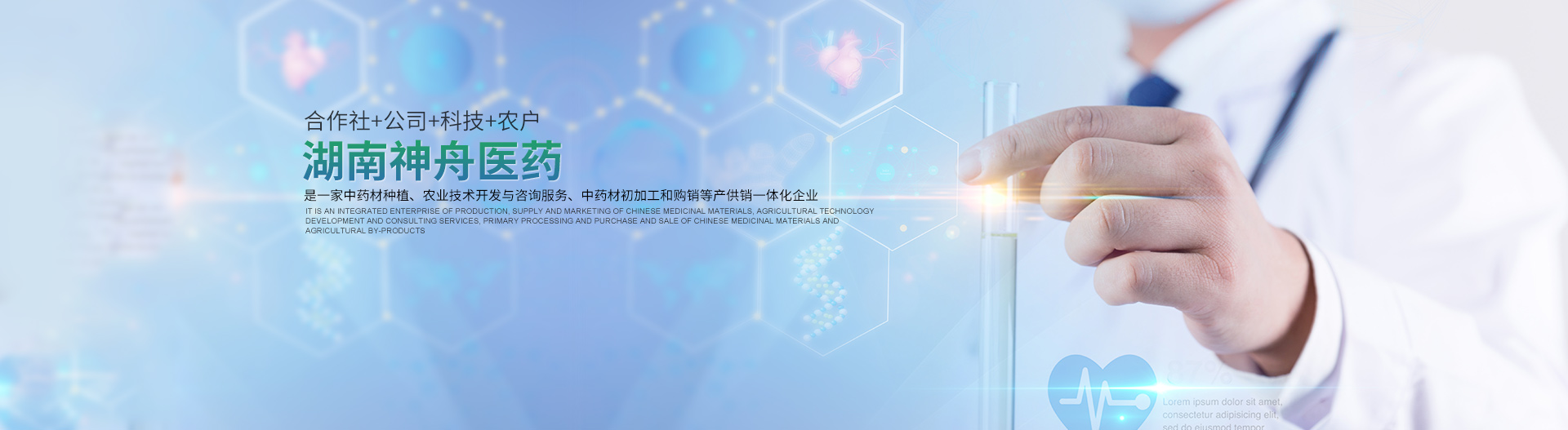 湖南中藥材種植|藥品批發(fā)_湖南神舟中藥飲片有限公司 湖南中藥材種植|藥品批發(fā)_湖南神舟中藥飲片有限公司